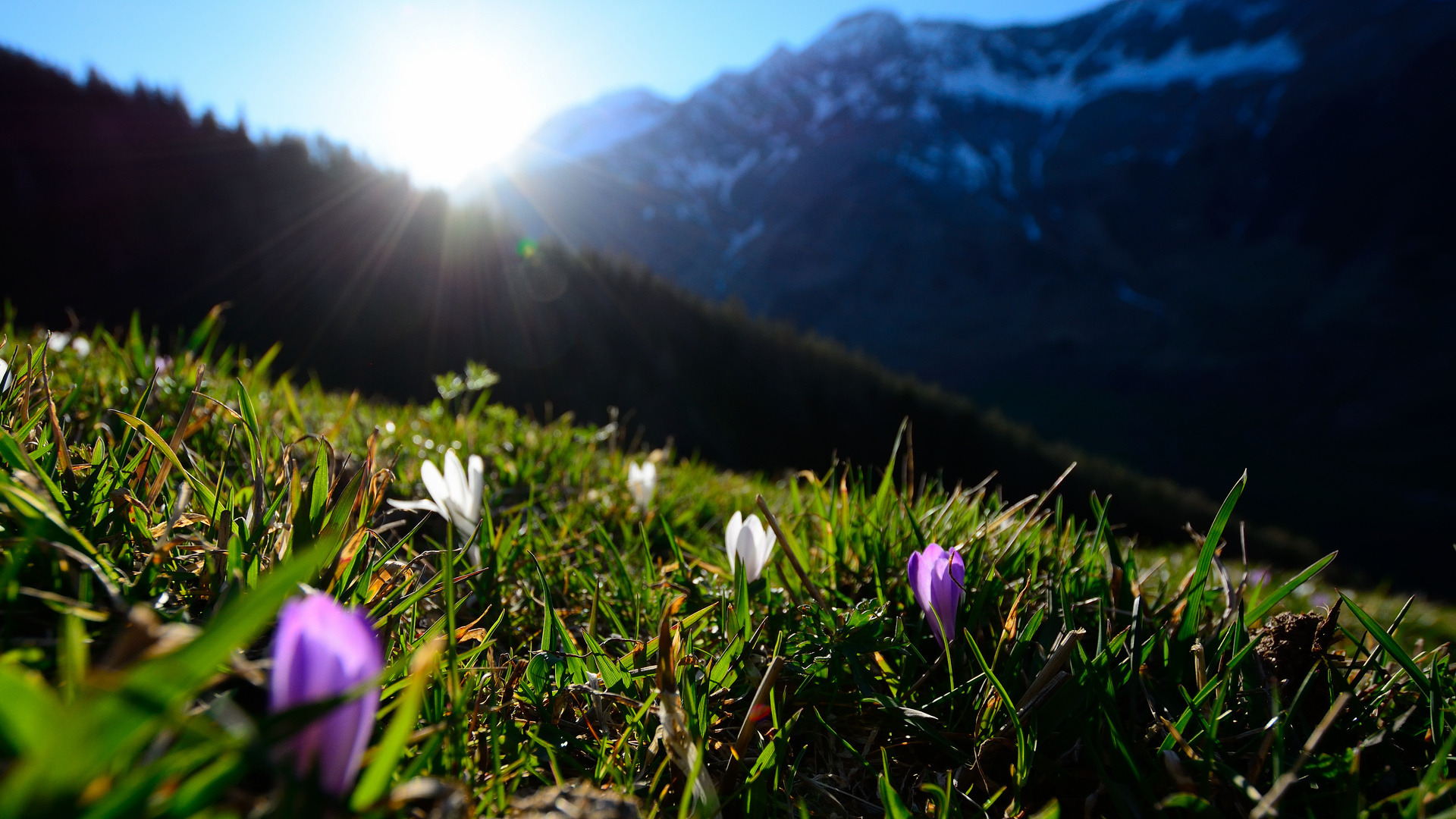 It´s spring in South Tirol