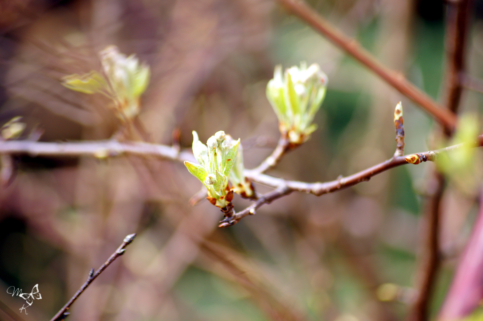 It´s springtime.