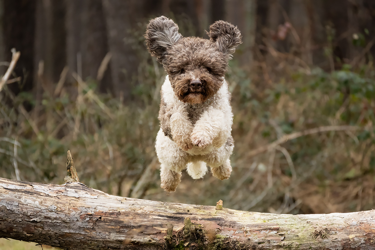 It´s Teddytime!