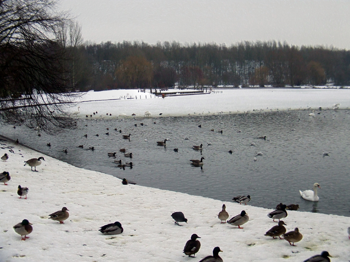 It's to cold for a swim