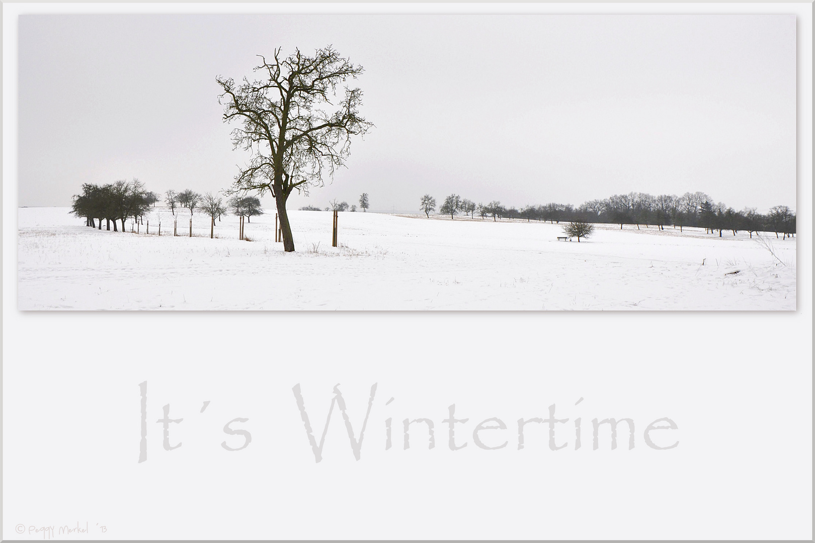 It´s Wintertime...