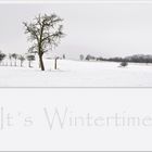 It´s Wintertime...