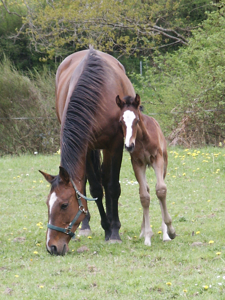 itsiaka et sa maman