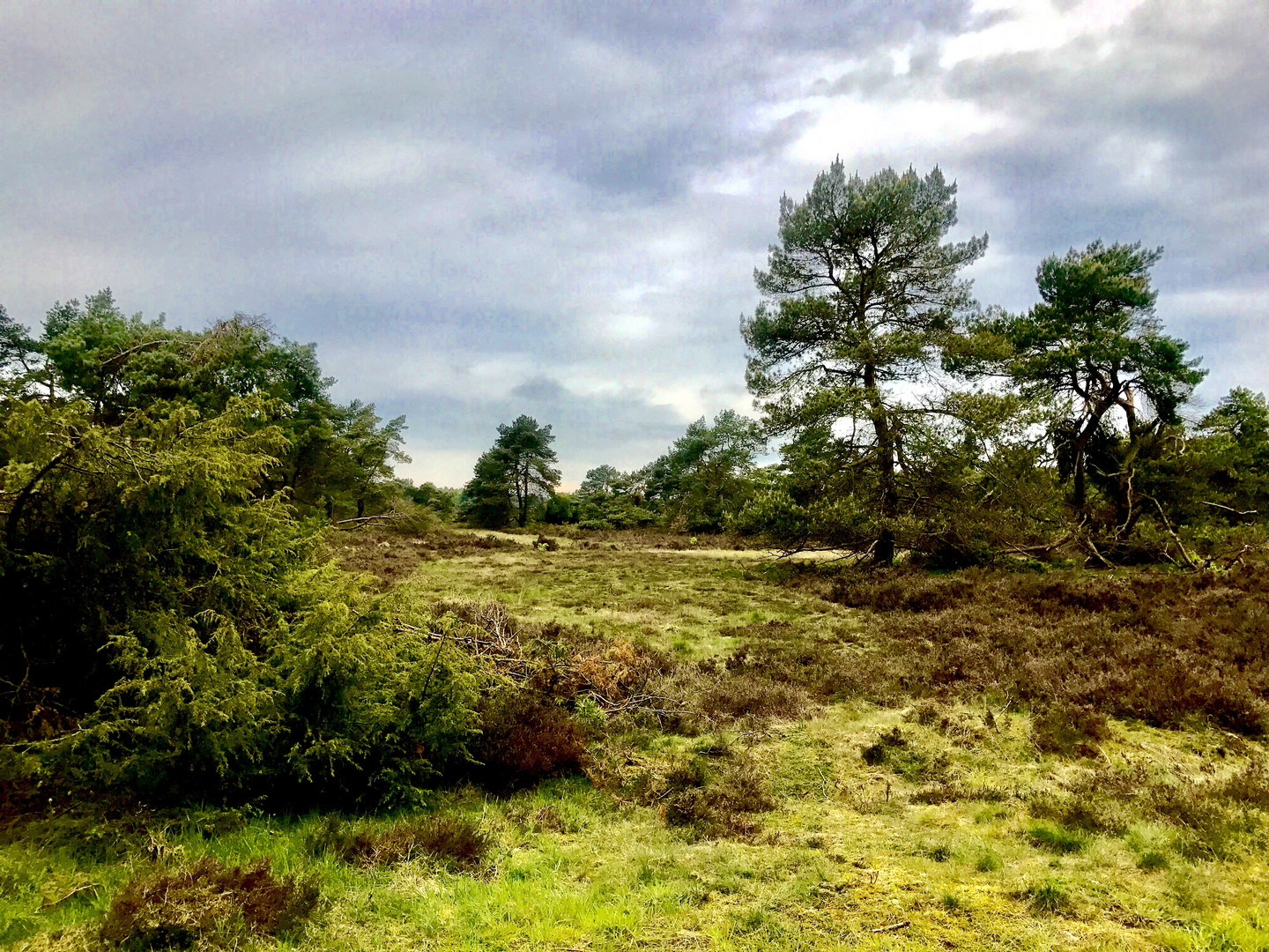 Itterbecker Heide