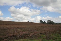 Itterbecker Heide
