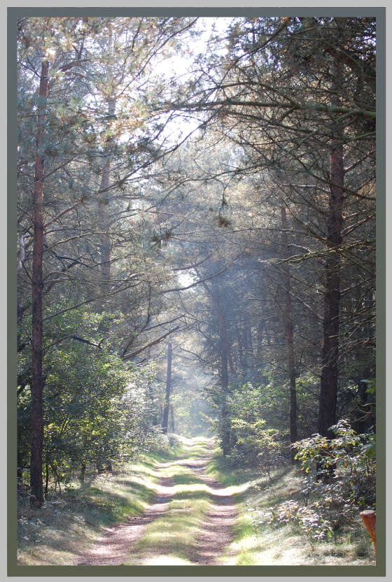 Itterbeckerheide