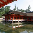 itukushima-shrine