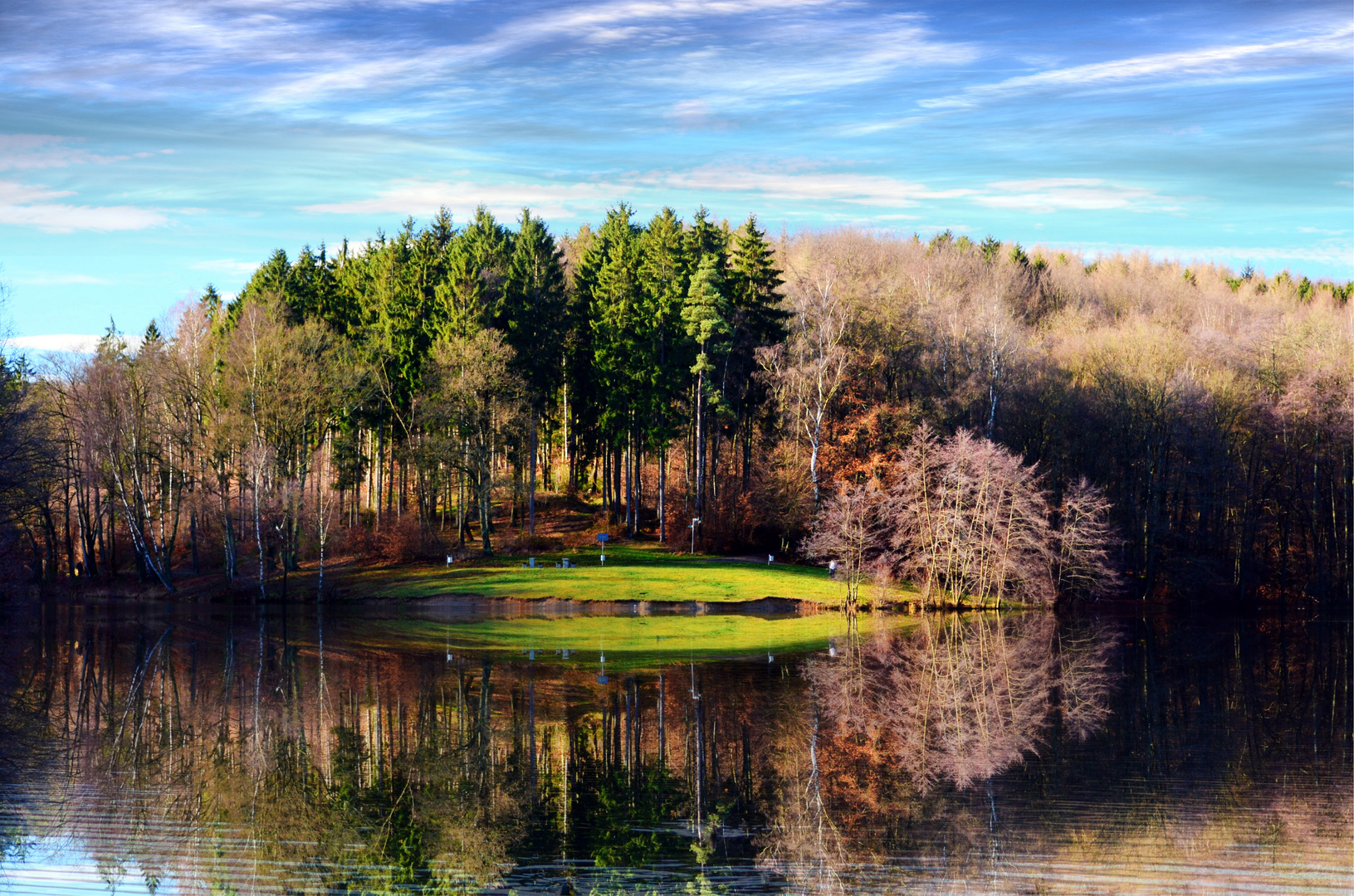 Itzenplitzer Weiher im Dezember