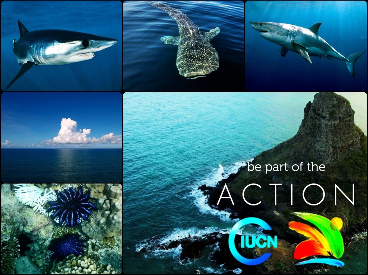 IUCN-Oman