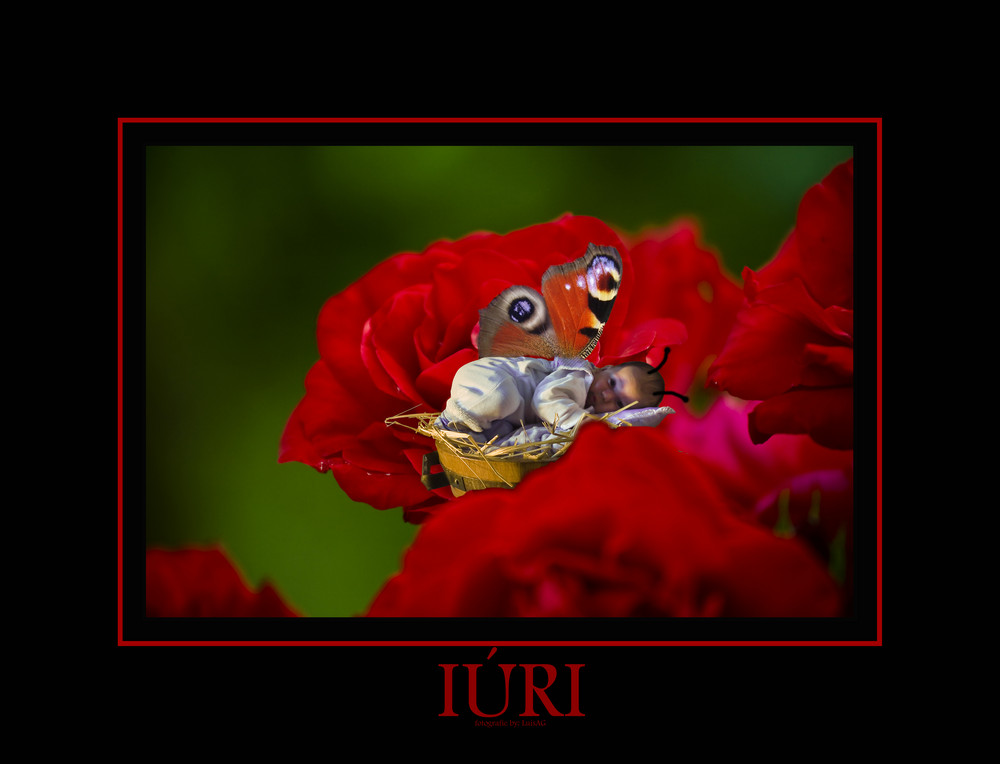 Iúri