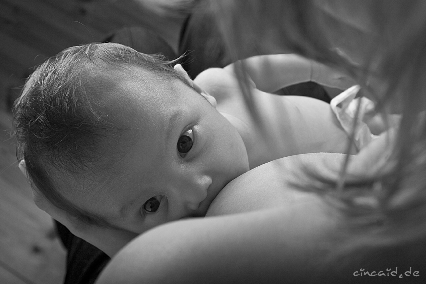 Ivanka - 4 Wochen alt - die zweite