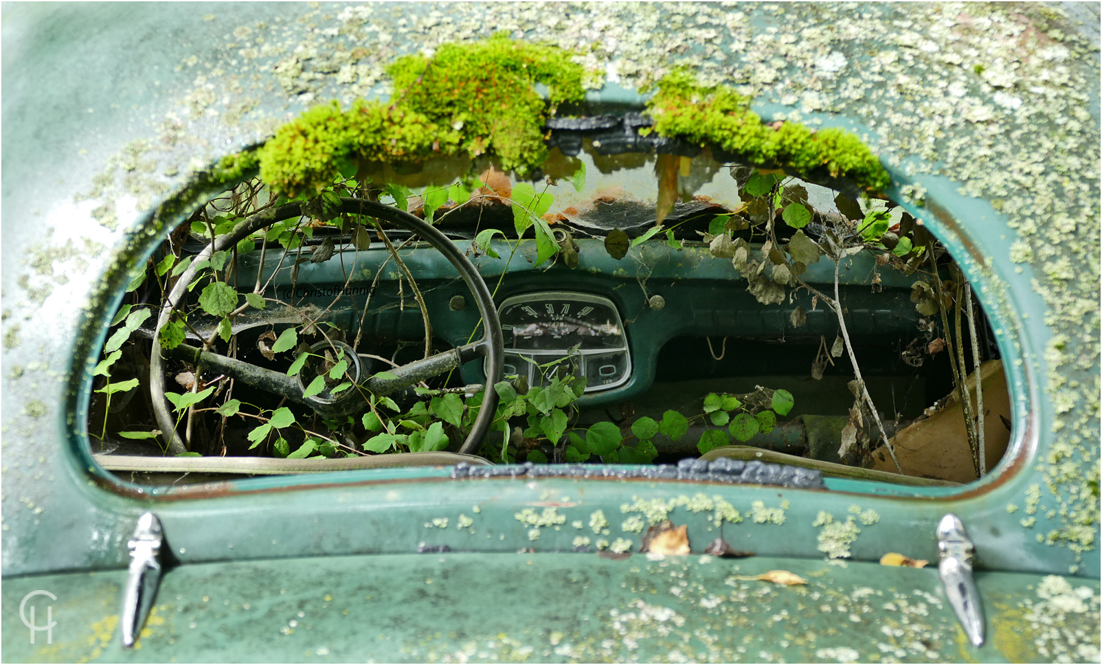 Ivanssons Bastnas Car Graveyard - Sweden