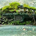 Ivanssons Bastnas Car Graveyard - Sweden