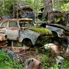 Ivanssons Bastnas Oldtimer Autofriedhof - Car Graveyard Sweden