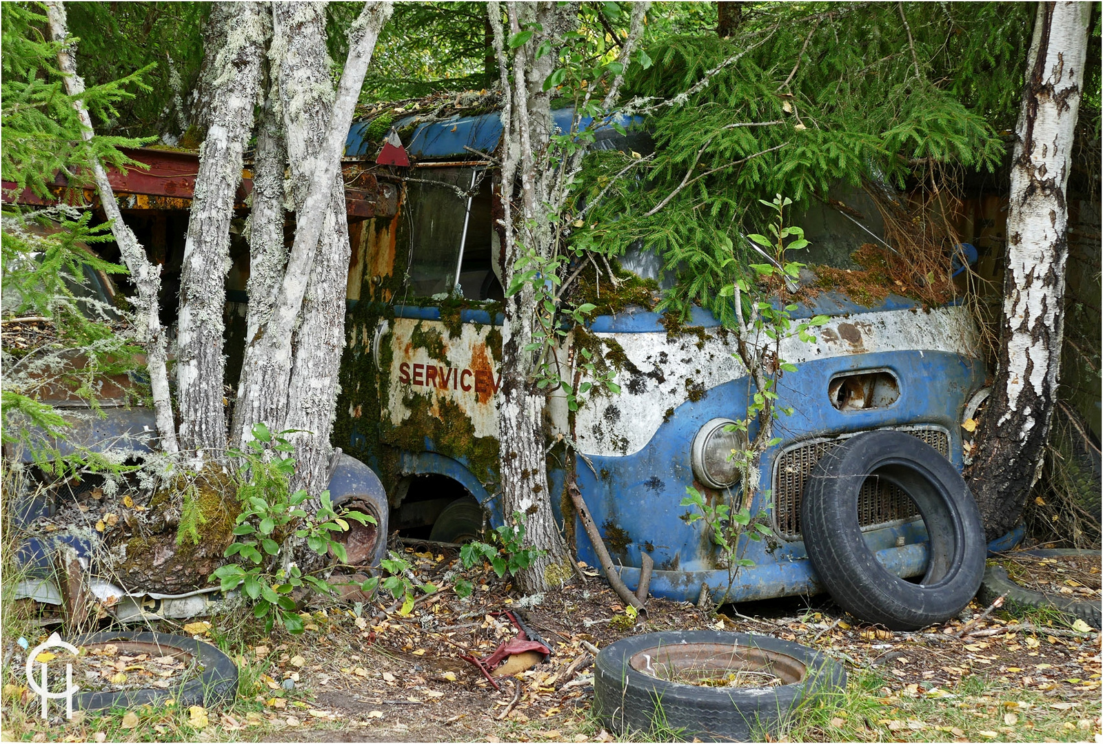 Ivanssons Oldtimer Autofriedhof Car Cemetery Bastnäs Sweden