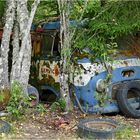 Ivanssons Oldtimer Autofriedhof Car Cemetery Bastnäs Sweden