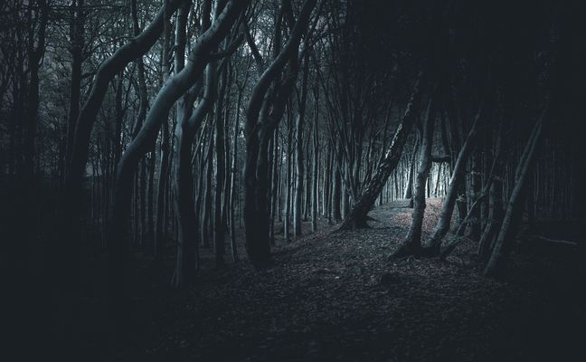 I've just started walking