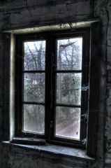 IVL_9387_8  Fenster HDR, frosty 