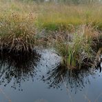 IVLT9183-4 Spiegelung im Wasser, Panorama 2 