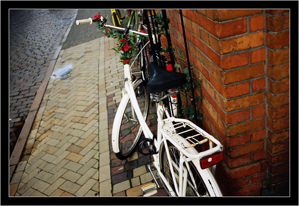 Ivy on bicycle....