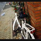 Ivy on bicycle....