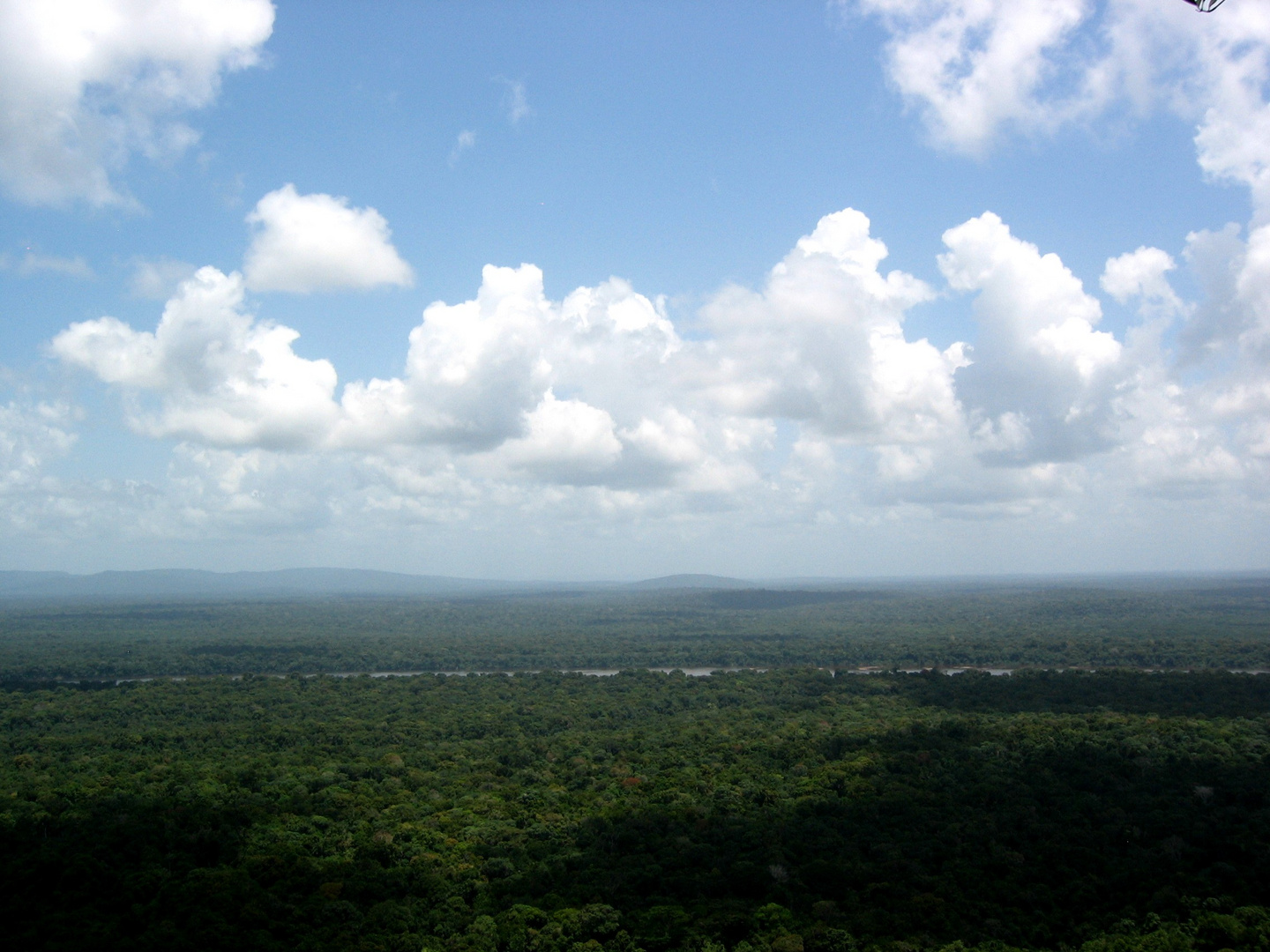 Iwokrama from Turtle Mountain