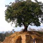 Iximche