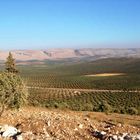 çiyayê kurmanc (Berg der Kurden) (1)