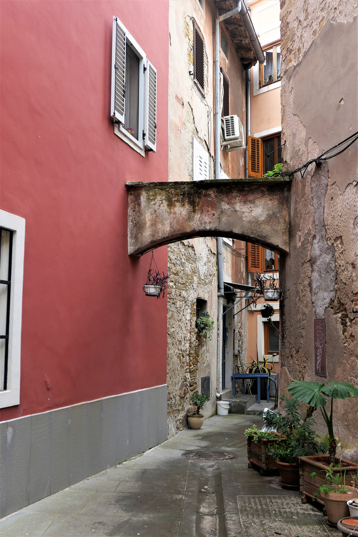 Izola