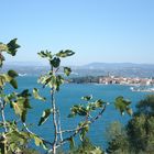 Izola-Isola