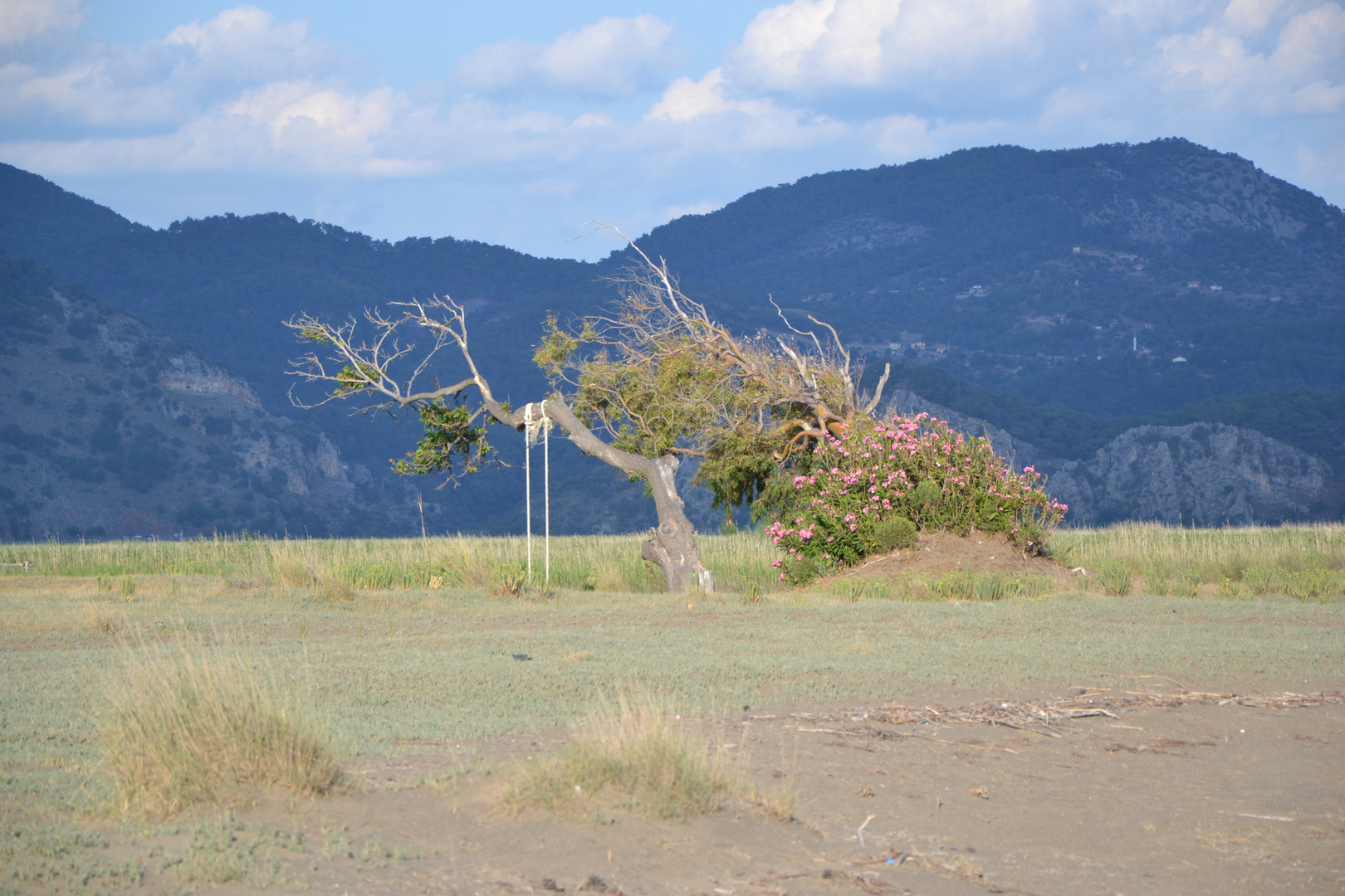 Iztuzu Strand - Dalyan