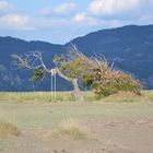 Iztuzu Strand - Dalyan