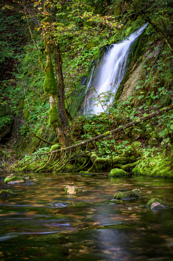 Izvir Bistrice, Slovenia