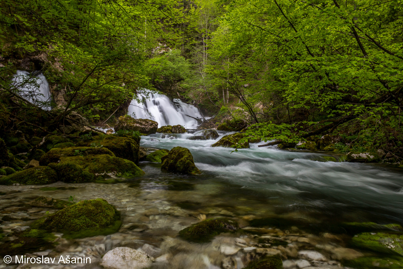 izvir bohinjske bistrice