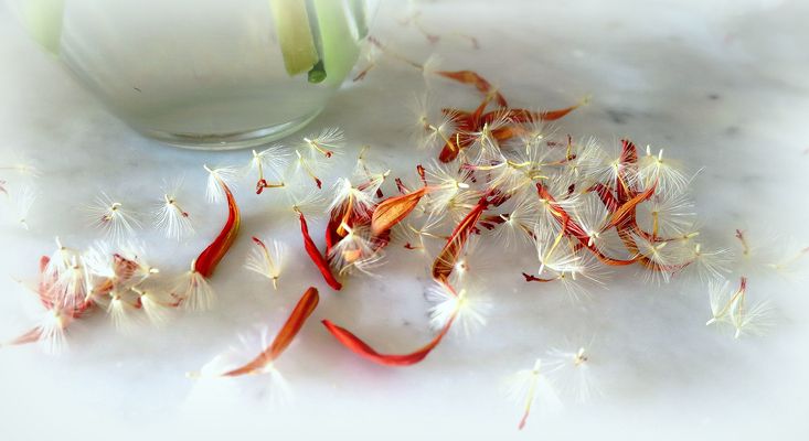 j' ai trouvé....pour mercredi...