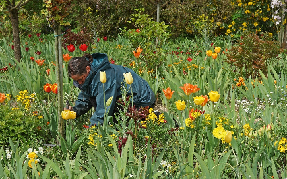 J..... comme Jardinière