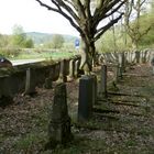 "J" comme juif (cimetière) (2)