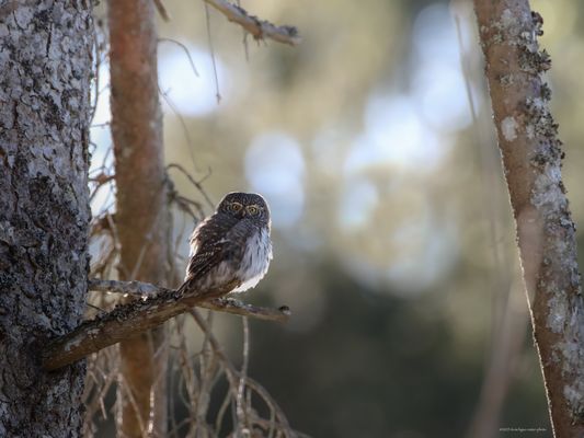 . . j é z .p o d s v é t l e n i . .