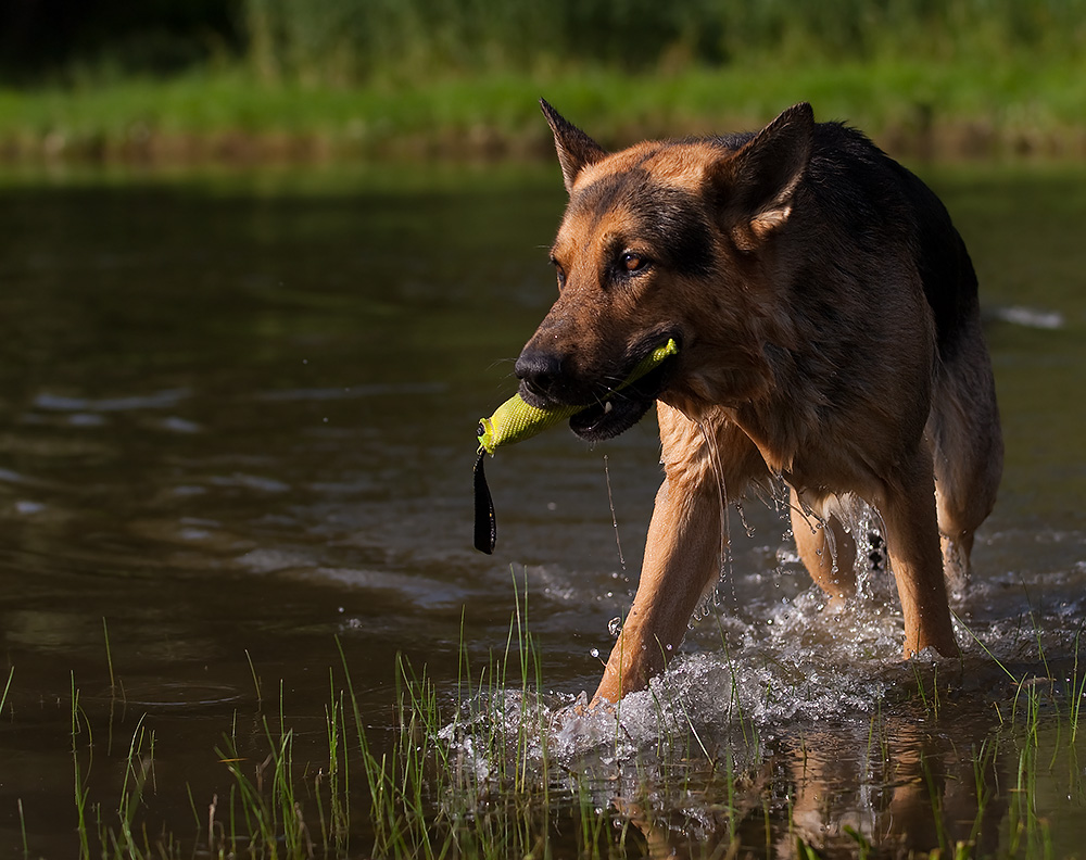 (J) im Wasser...