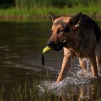 (J) im Wasser...