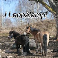 J Leppälampi