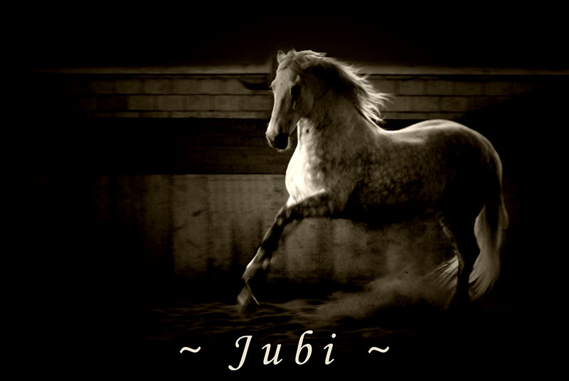 ~ J U B I ~