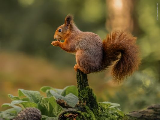 j u s t . k e e p . t h e . b a l a n c e 