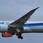 JA-814A - All Nippon Airways - Boeing 787-8 - Dreamliner