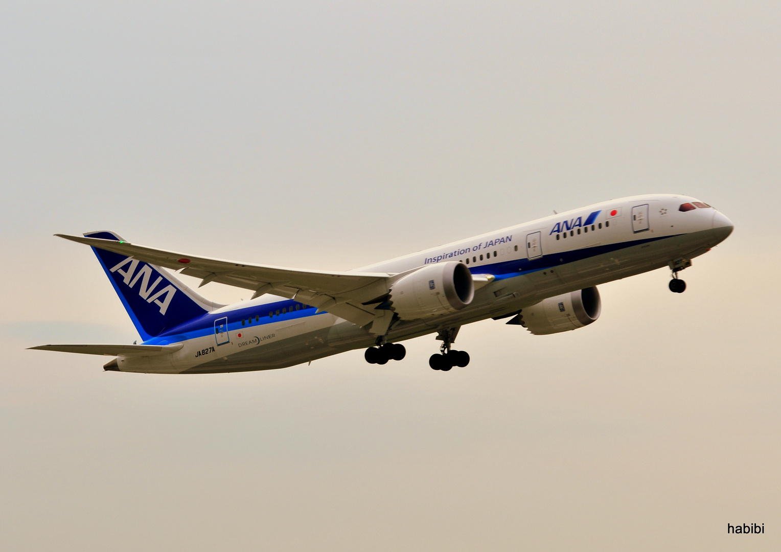 JA 827A / ANA in EDDL :)