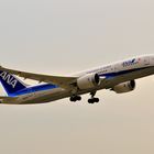 JA 827A / ANA in EDDL :)