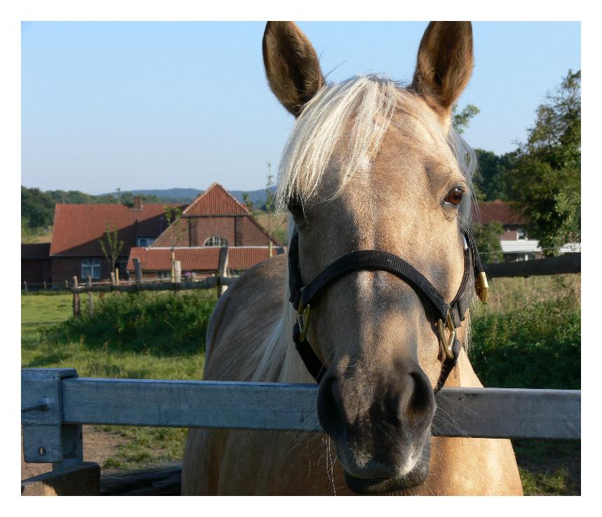 ja, bin ich denn ein Model?