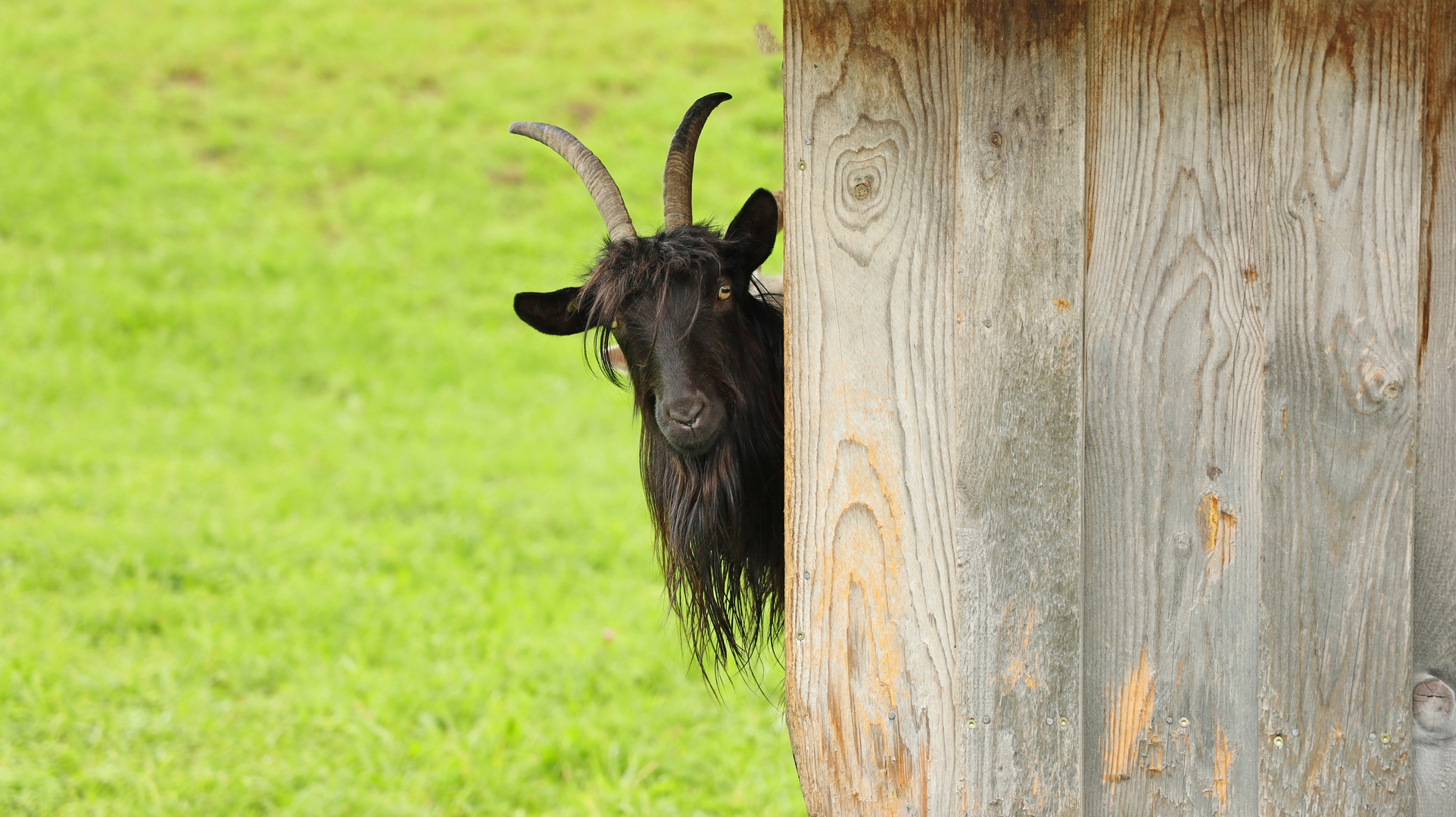 Ja, bitte . . . , Bolsterlang, Allgäu