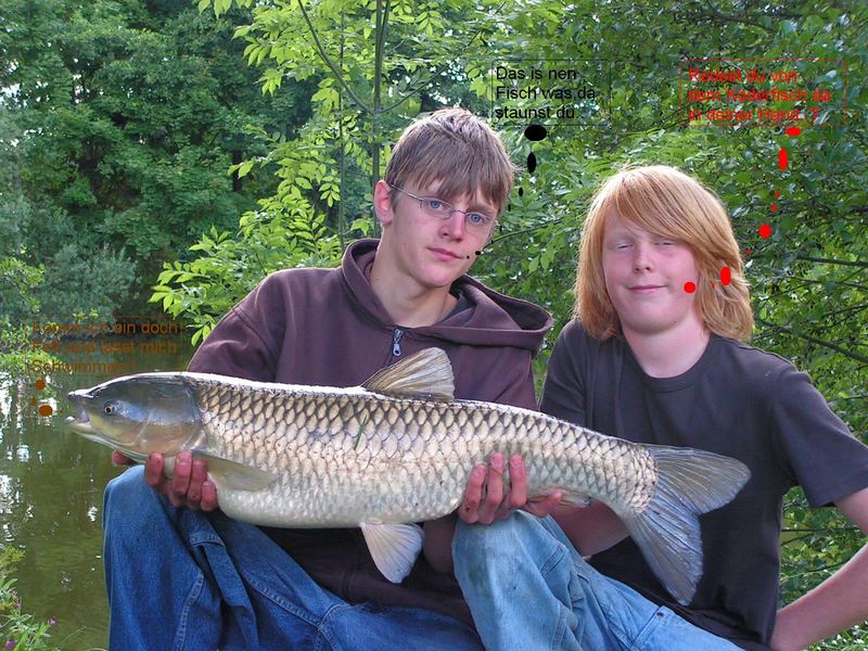 Ja das war ein Fisch....!! Graskarpfen kein Hecht