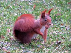 ja der Wind..